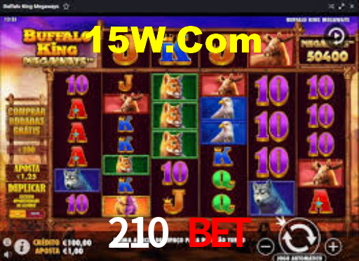 VIP Casino 210 Bet
